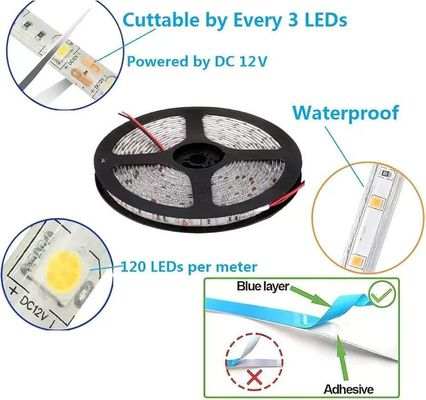 Flessibili luci a strisce a LED 600 unità LED strisce a LED impermeabile 12 Volt strisce di luce a LED pacchetto di 16,4 piedi/5m per festa di vacanza casa interno decorazione esterna impermeabile bianco 1 pacchetto