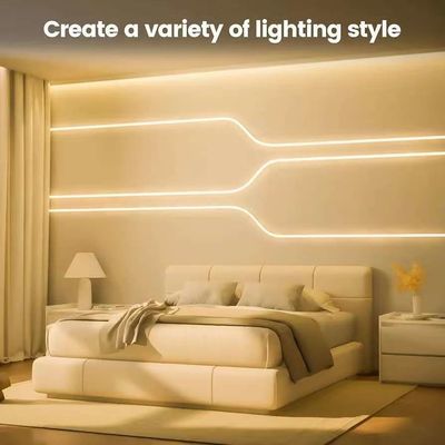 DIY Decorazione RGB Neon Strip Light Tubes Custom 12v 24v SFflessibile Neon Strip Light Per Decorazione di vacanza Silicone IP67 Acquaproof Outdoor Neon Light