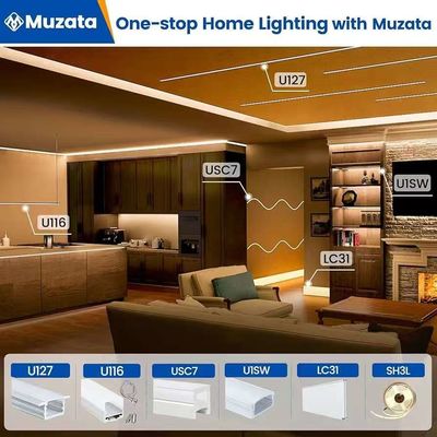 Esterno impermeabile 12/24V Silicone LED Light Strip Per Decorazione Domiciliare Neon LED Strip Light Bianco 16.4ft/5m Neon Light Strip 12V Silicone impermeabile Flessibile LED Neon Rope Lights Per Festival Camera da letto