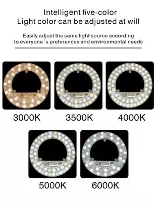 ERP ETL Certified 24W Round LED Panel Light con CCT regolabile