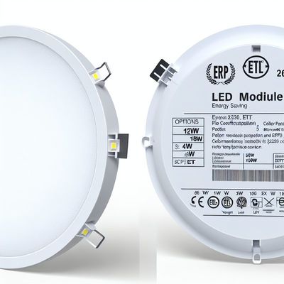 ERP ETL Certified 24W Round LED Panel Light con CCT regolabile