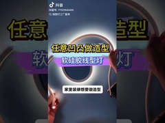 strisce luminosa al neon flessibile